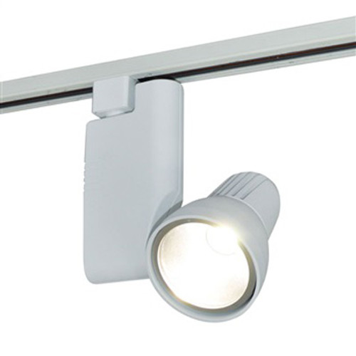 Shown in Silver