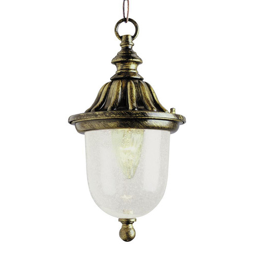 1 Light Black Gold Outdoor Hanger 4185BG