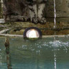 12V Underwater Pond Lighting Marine Grade Composite Mini Spotlight - OUW-PUM1