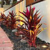 Cast Brass Mini In-Ground Well Light Outdoor Walkway Shot
