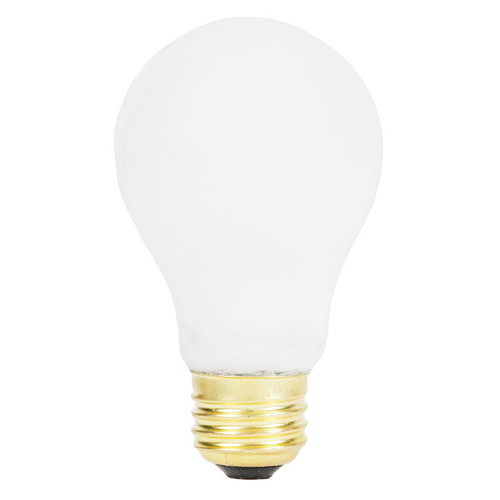 LED A19 Light Bulb