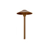 LV 214 Area Light Bronze Finish