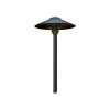 LV 214 Area Light Black Finish