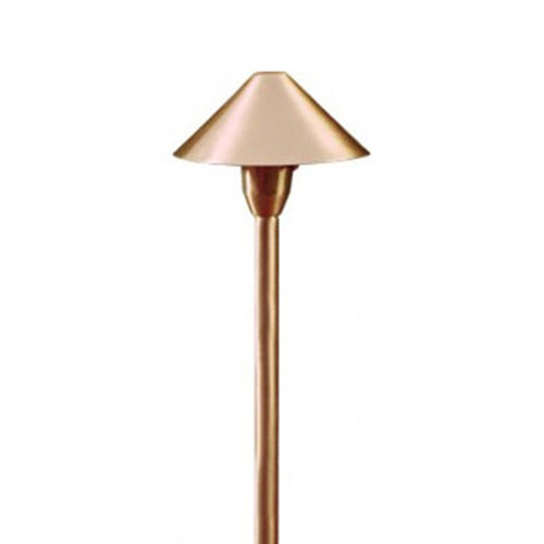 LV41 Area Light in Antique Brass Finish Main
