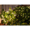 Standard Net Light 5MM In Scene
