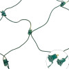 Standard Net Light 5MM & Plug