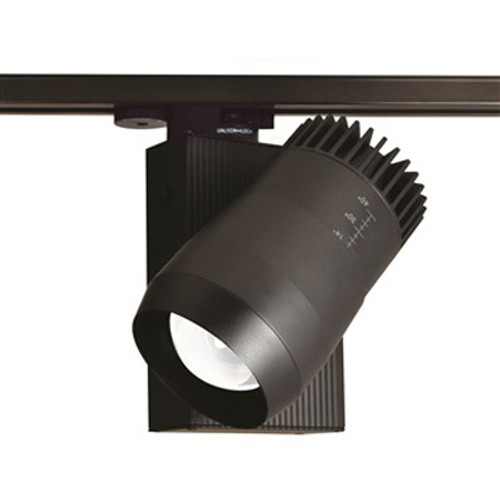 Shown in Black