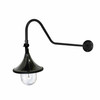 Plaza Solar RLM Light with Adjustable Gooseneck Arm With Extension