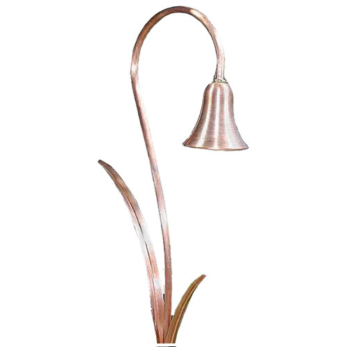 Product View