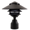 Shown in Black