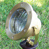 Raw Brass Submersible Floodlight PS003 (in scene)
