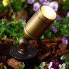 Bronze in Scene