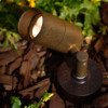 Cast Brass Side Arm Spotlight PSDX613 (in scene) Shown In Rust