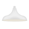 120V R Series 1 Light Wide Retro Warehouse Shade Gooseneck