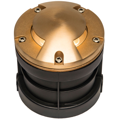 Raw Brass Well Light Cover