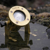 Shown in Water