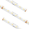 24V Dynamic RGB+Tunable CCT Tape Light Main