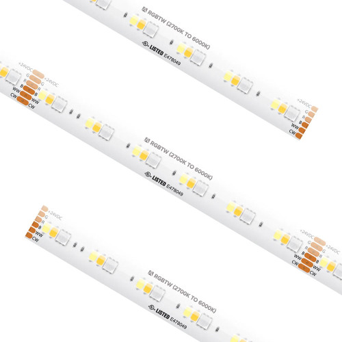 24V Dynamic RGB+Tunable CCT Tape Light Main