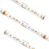24V High Output LED Tape Light Main