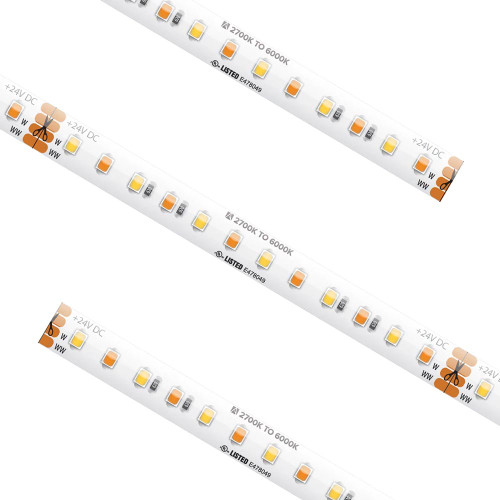 24V High Output LED Tape Light Main