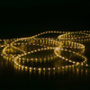 Warm White Rope Light In Scene 2