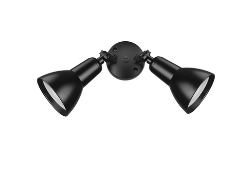 Floodlight with Powder Coated Black Finish